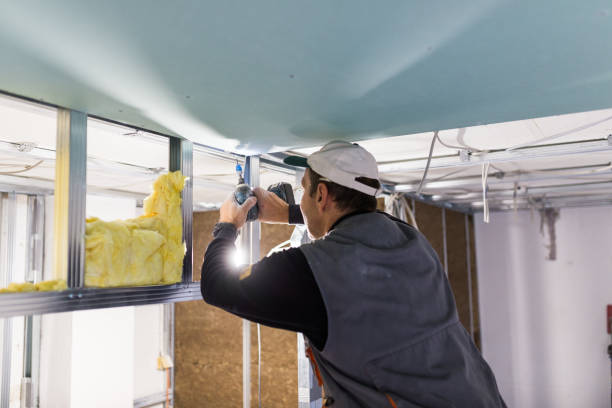 Best Residential Insulation in Wamego, KS
