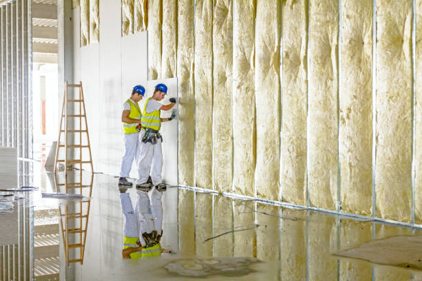 Best Insulation Installation Services in Wamego, KS